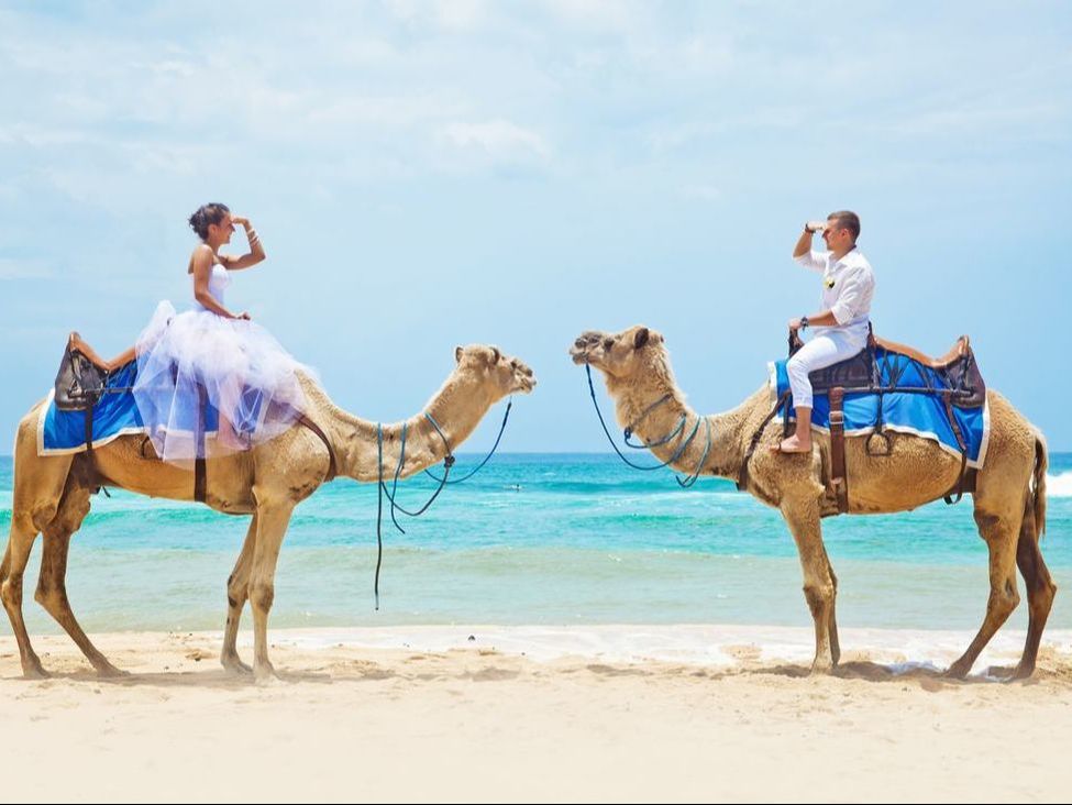 Bride and groom on camels at the beach